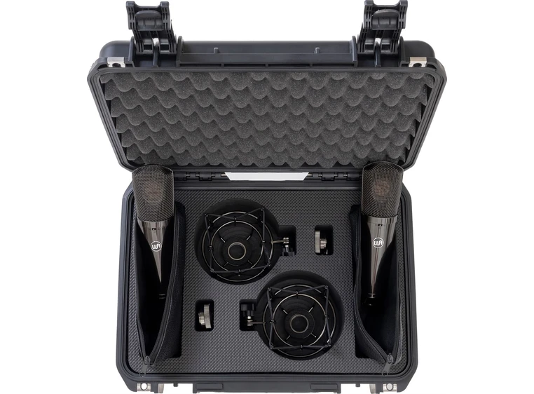 Warm Audio WA-87 R2 Titanium Stereo Pair 