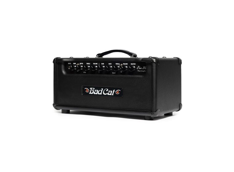 Bad Cat Era 30 Gitartopp Standard Black cab & panel 