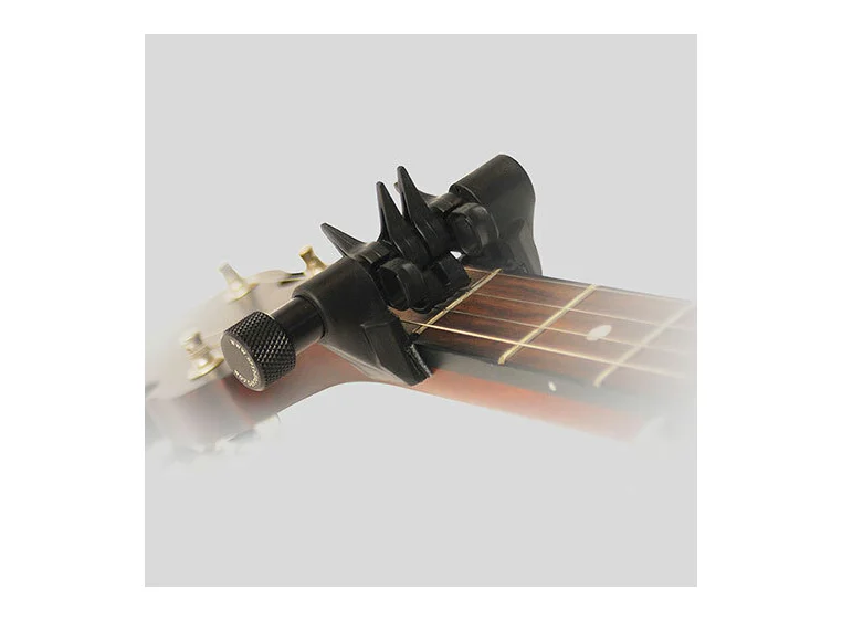 D'Andrea Spider Capo - Mini 