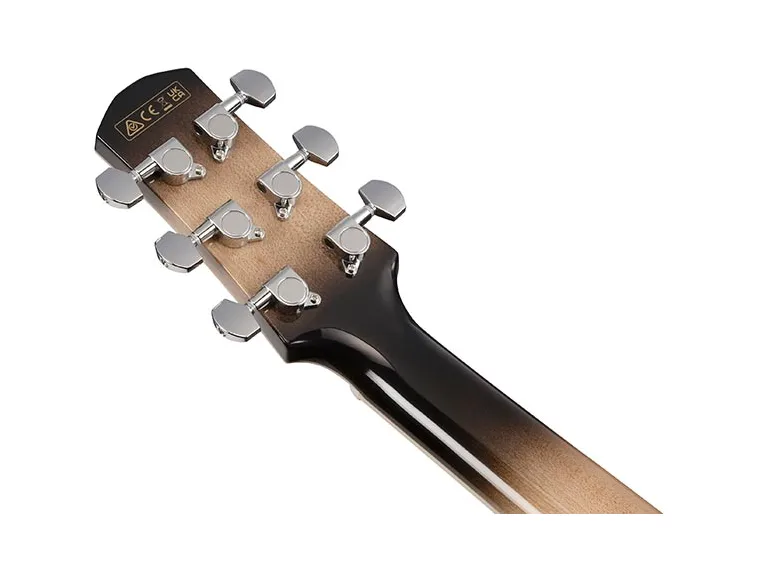 Ibanez AAM370M1CE-TPA Advanced Auditorium Spot 