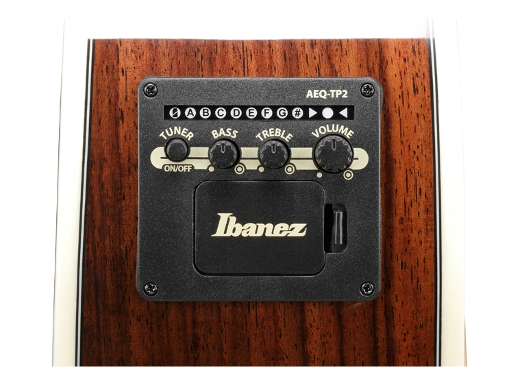 Ibanez AC391RCE-BKH Grand Concert 