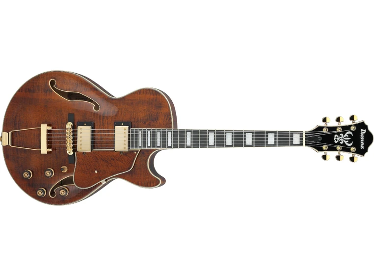 Ibanez AG95MG-DA Artcore Expressionist 