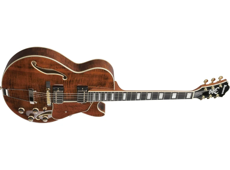 Ibanez AG95MG-DA Artcore Expressionist 