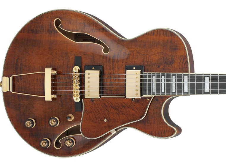 Ibanez AG95MG-DA Artcore Expressionist 