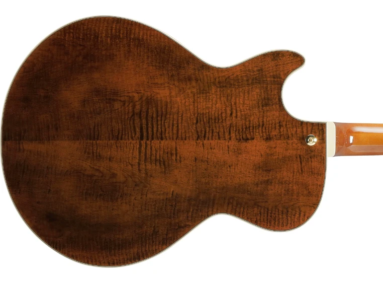 Ibanez AG95MG-DA Artcore Expressionist 