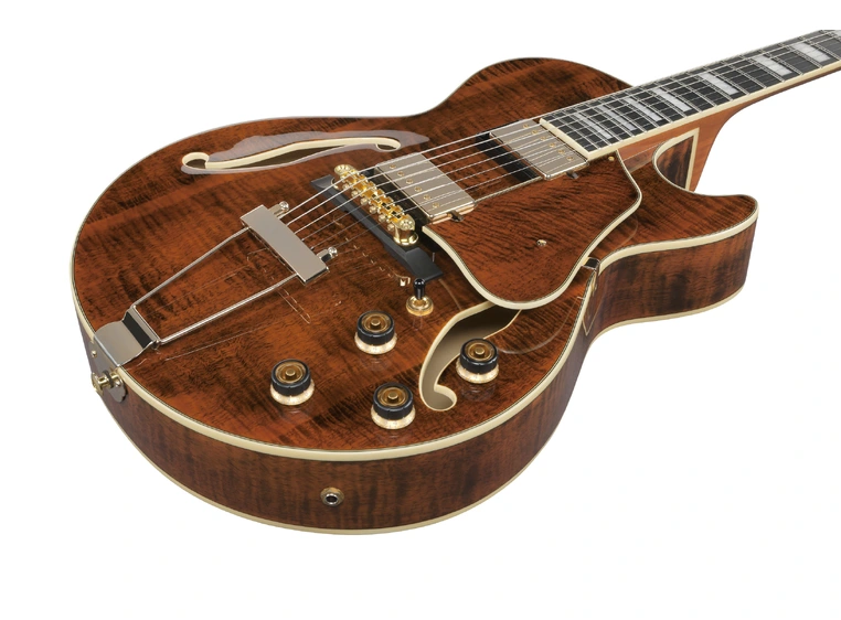 Ibanez AG95MG-DA Artcore Expressionist 