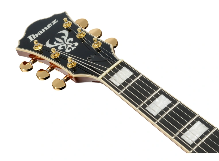 Ibanez AG95MG-DA Artcore Expressionist 