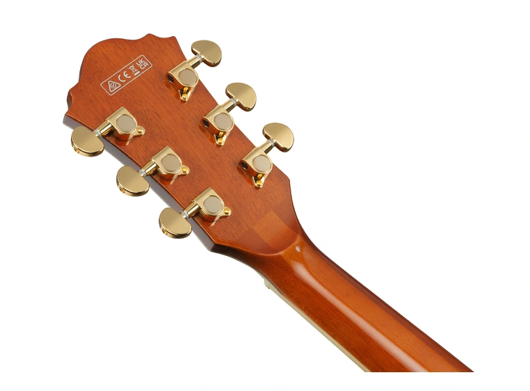 Ibanez AG95MG-DA Artcore Expressionist 