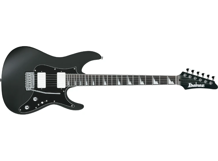Ibanez BER10 Bernth Signatur 