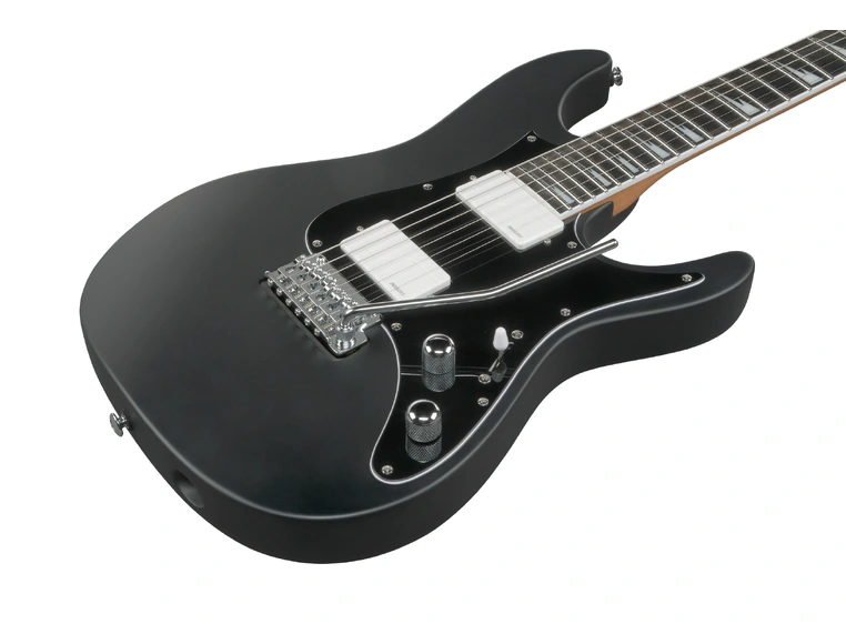 Ibanez BER10 Bernth Signatur 