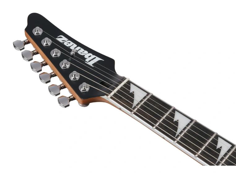 Ibanez BER10 Bernth Signatur 