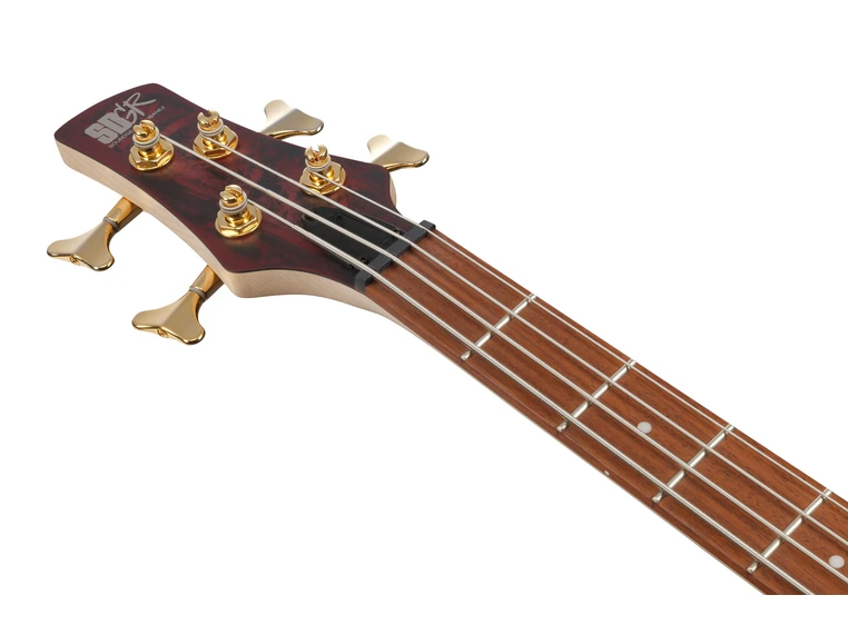 Ibanez SR300EDX-WZM Elbass SR Standard 