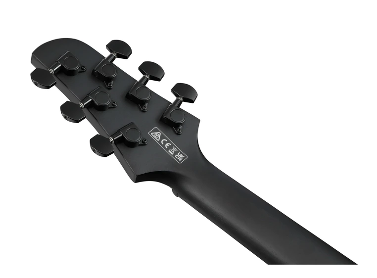 Ibanez TCY621-BOT Ak. gitar m/mik Talman 