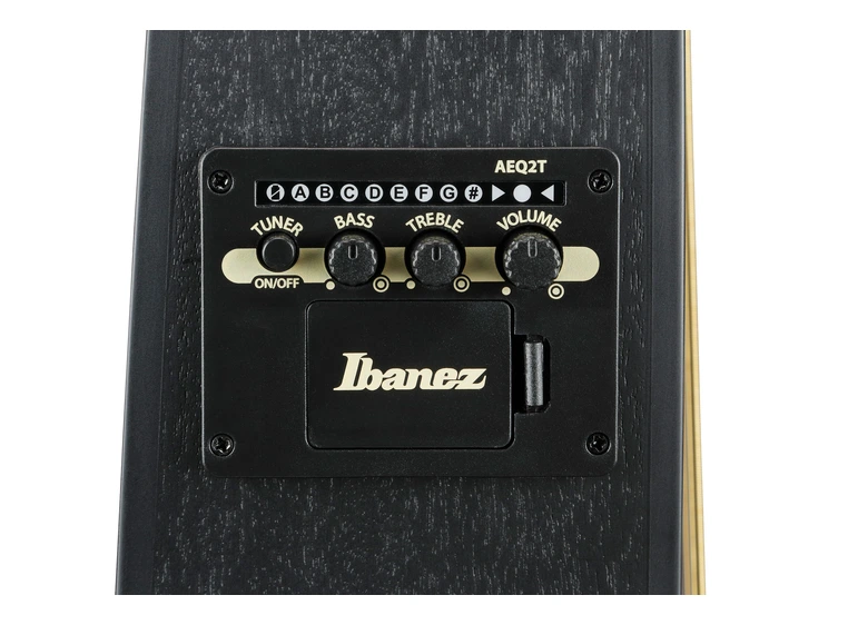 Ibanez TCY621-BOT Ak. gitar m/mik Talman 