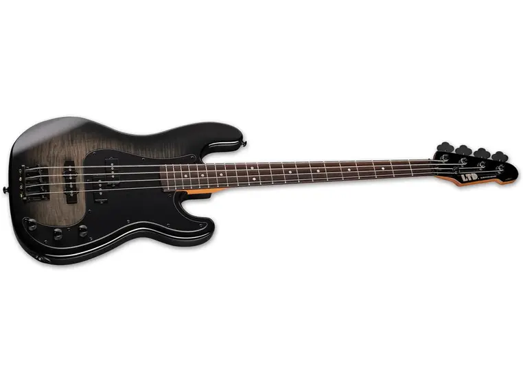 LTD Surveyor-204DX Black Burst 
