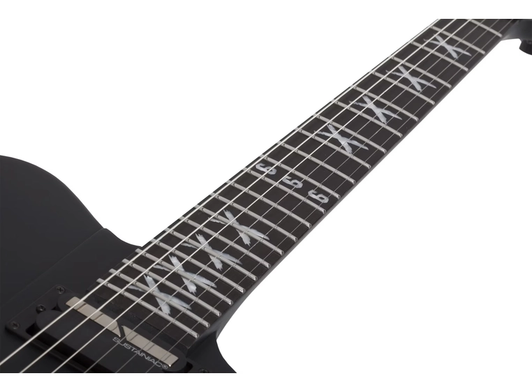 Schecter Riggs Ultra FR-S SBK 