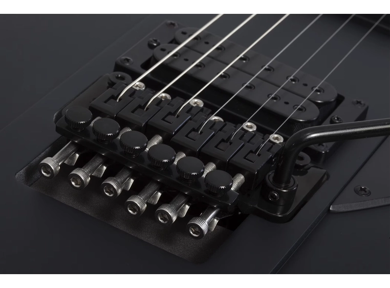 Schecter Riggs Ultra FR-S SBK 