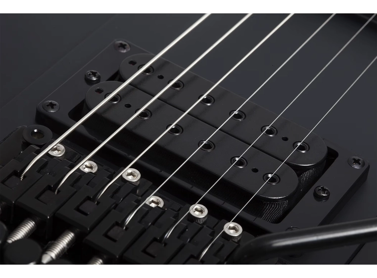 Schecter Riggs Ultra FR-S SBK 