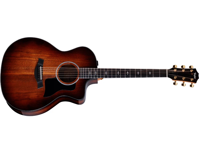 Taylor 224ce-K DLX 