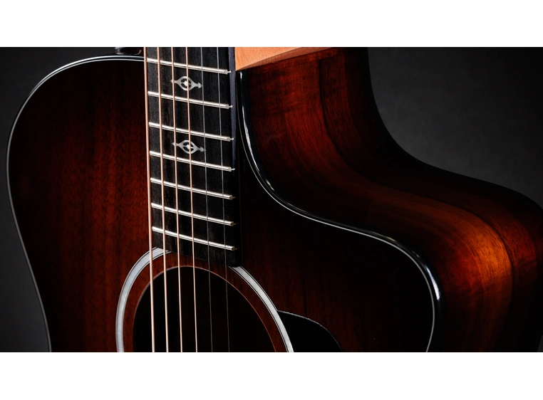 Taylor 224ce-K DLX 