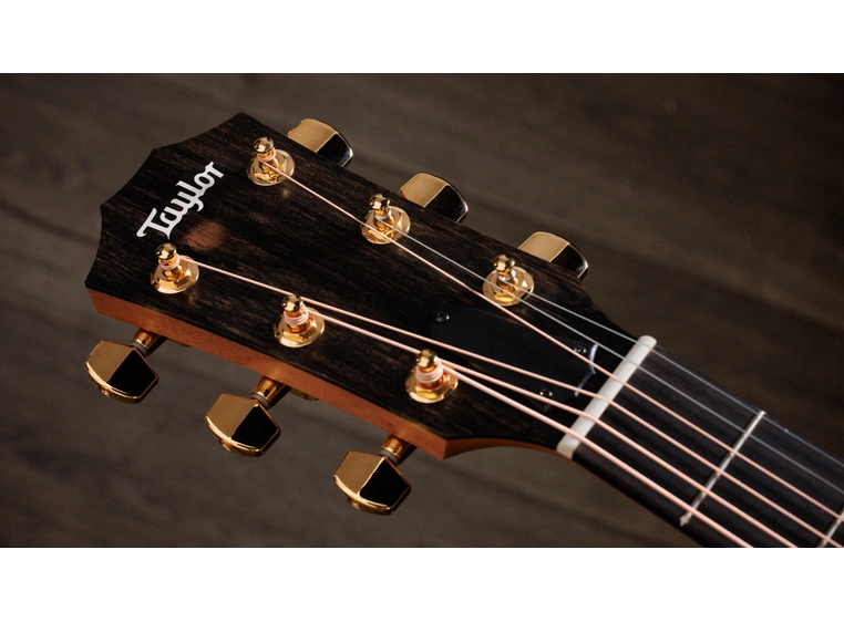 Taylor 224ce-K DLX 