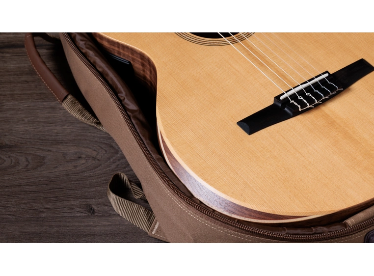 Taylor Academy 12e-N 