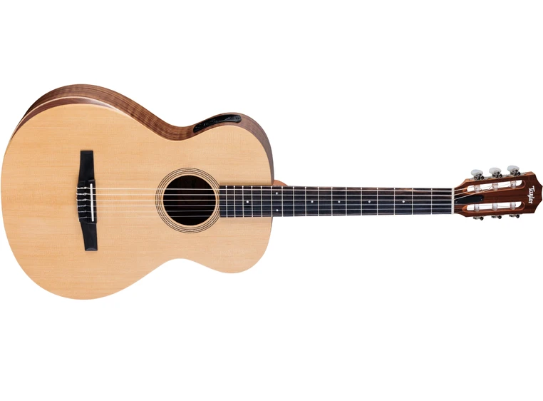 Taylor Academy 12e-N 