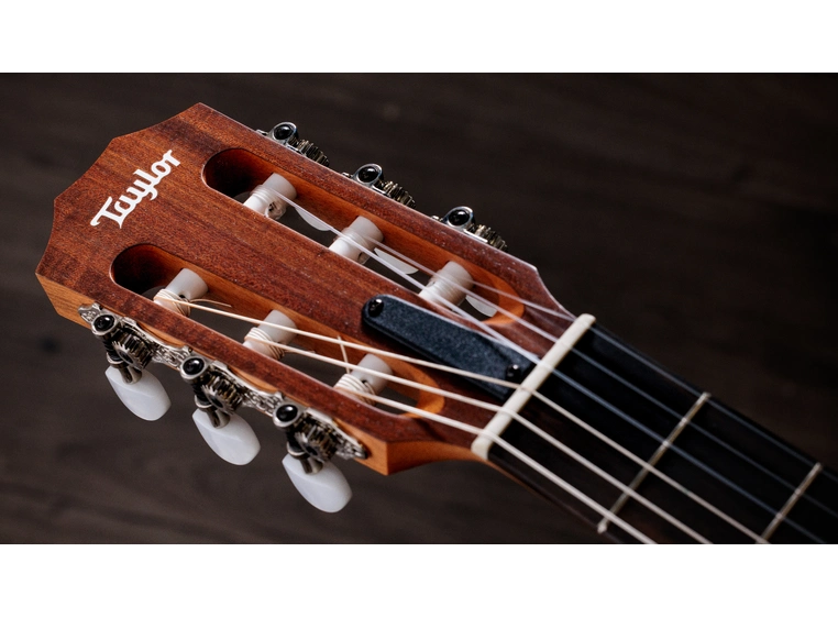 Taylor Academy 12e-N 