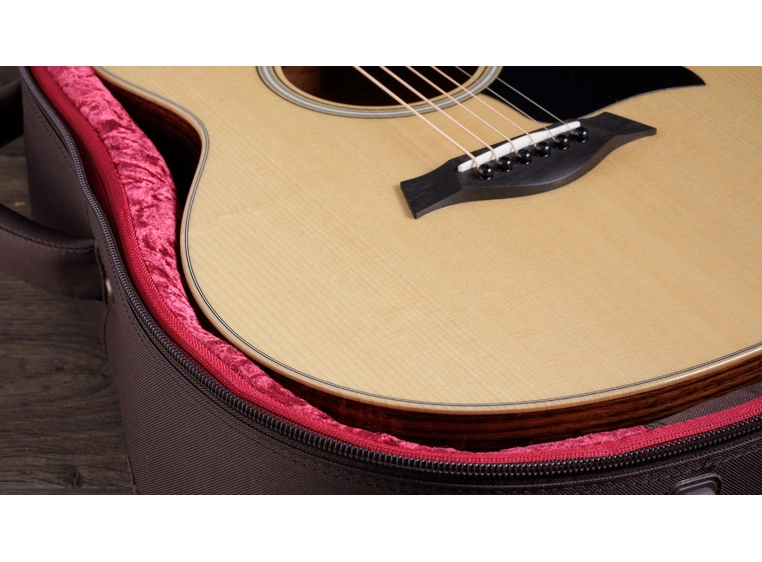 Taylor GS Mini-e Rosewood Plus 