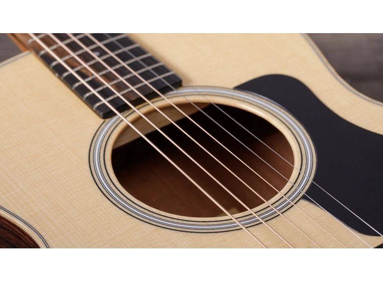 Taylor GS Mini-e Rosewood Plus 