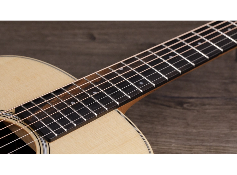 Taylor GS Mini-e Rosewood Plus 