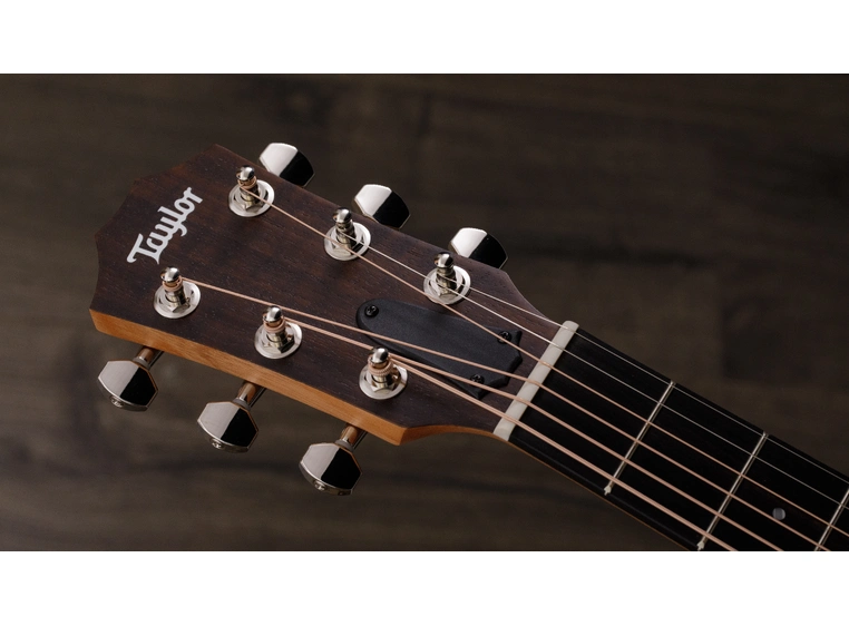 Taylor GS Mini-e Rosewood Plus 