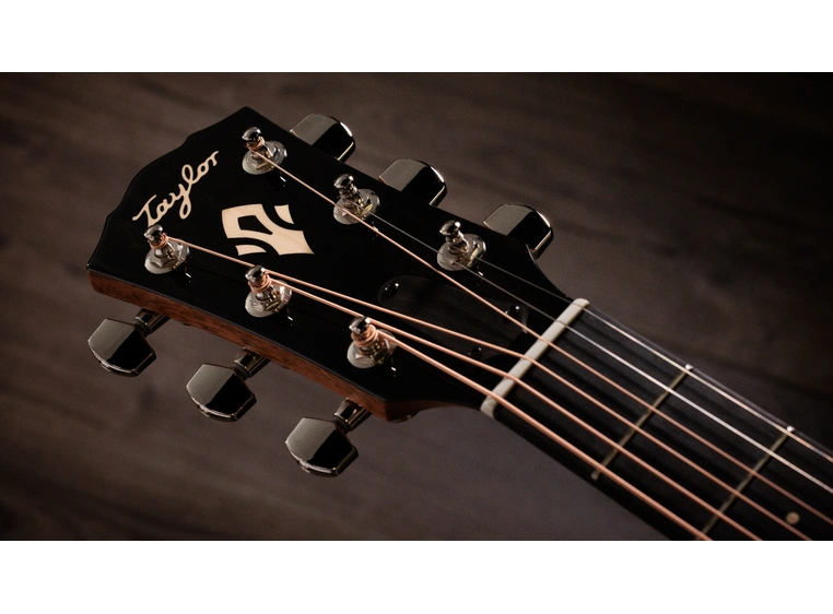 Taylor Gold Label 517e 