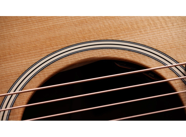 Taylor Gold Label 517e 