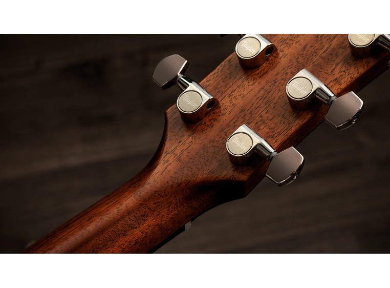 Taylor Gold Label 517e 