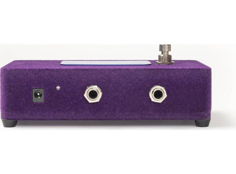 Warm Audio Foxy Tone Box Limited Edition Purple Foxy