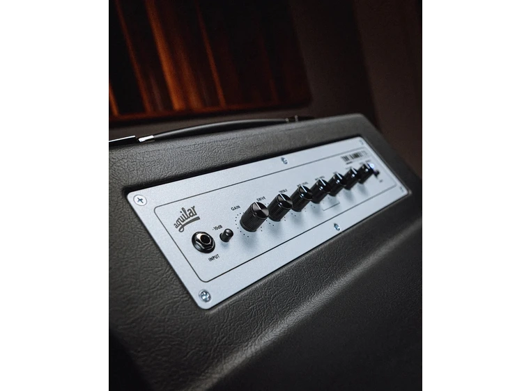 Aguilar Tone Hammer 210 Combo 