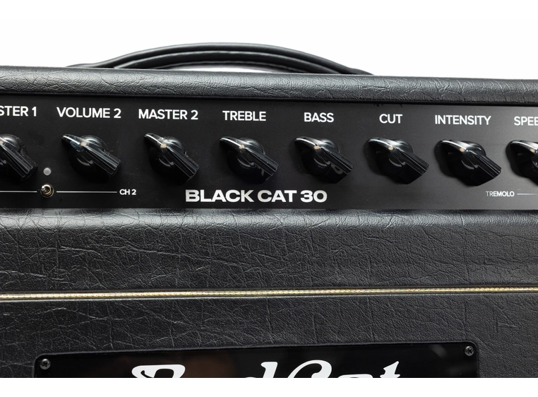 Bad Cat Mod Shop Black Cat 30 Head 