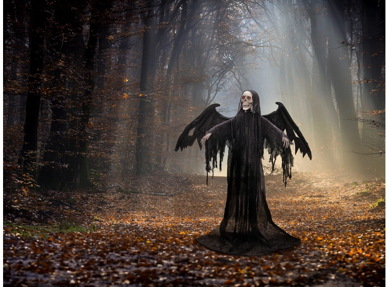 Europalms Black Angel 175x100x66cm 