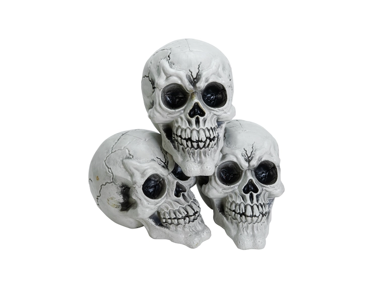 Europalms Skull, 3x 