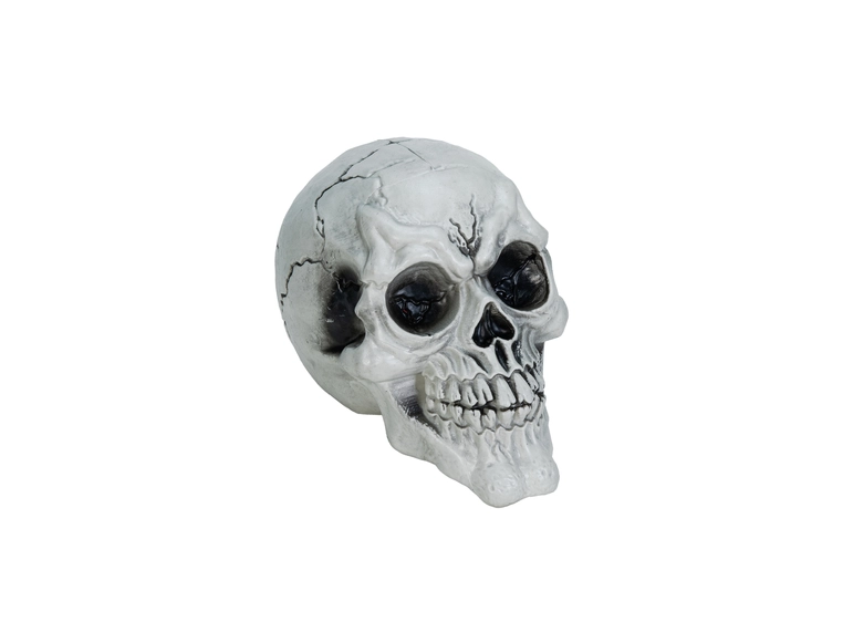 Europalms Skull, 3x 