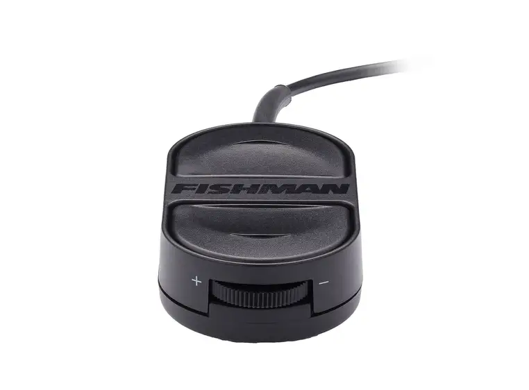 Fishman TriplePlay Express 