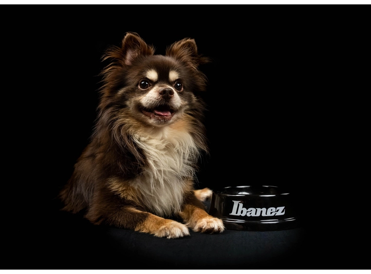 Ibanez IBWL001 Ibanez Accessory Bowl 