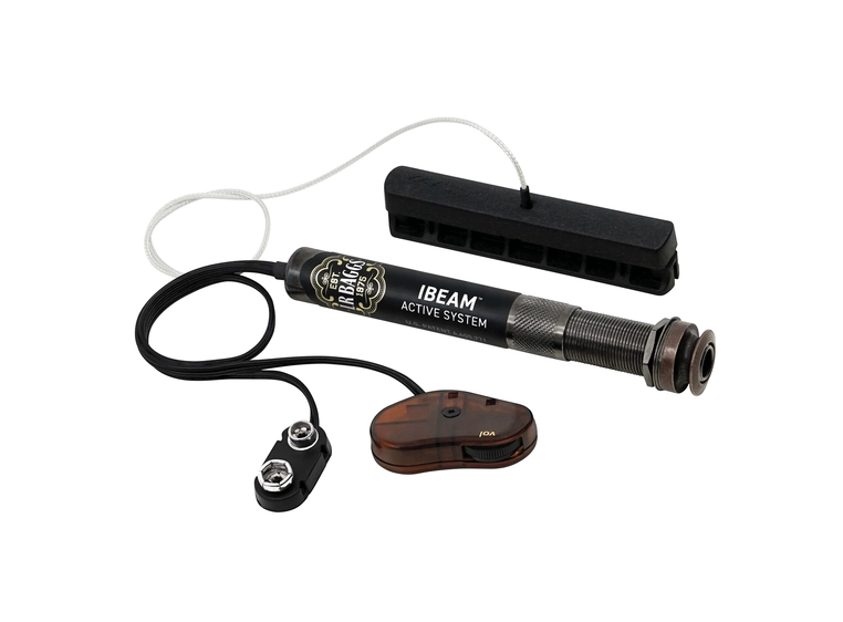 L.R.Baggs IBAS (iBeam active) 