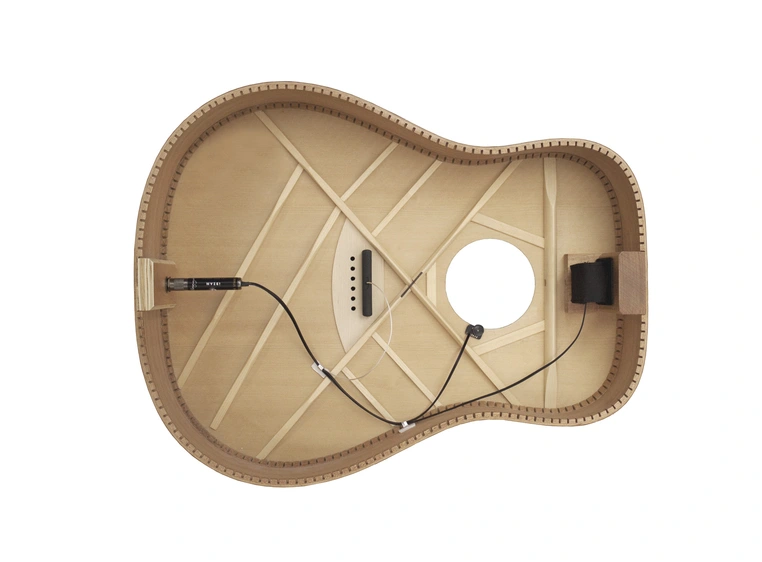 L.R.Baggs IBAS (iBeam active) 