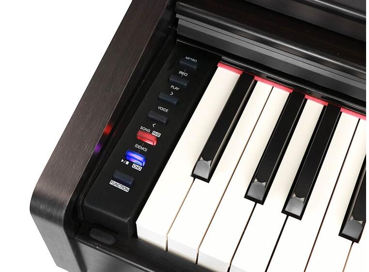 Medeli DP280K Digital Piano - Rosewood