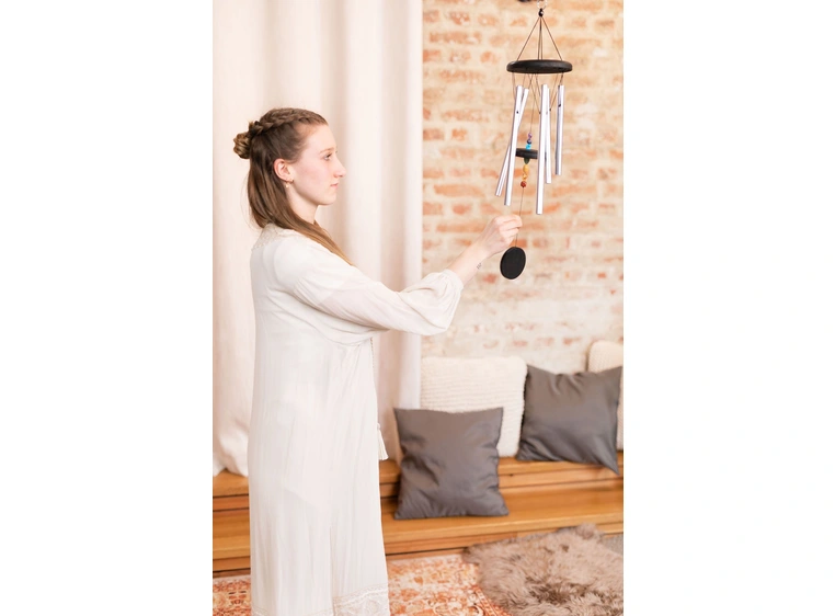 Meinl Sonic Energy CMC25S Chakra Meditation Chime 25, Silver 