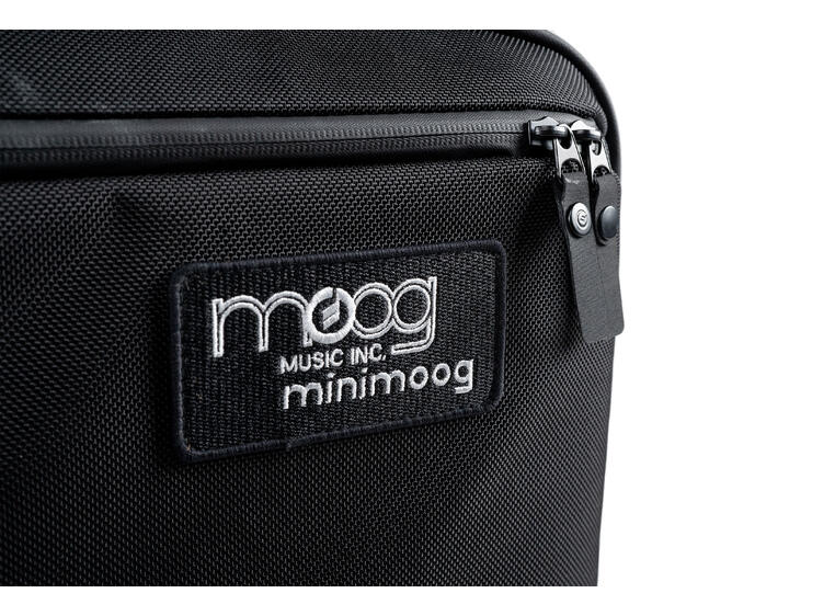 Moog Minimoog Model D SR Series Case