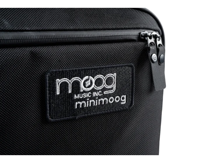 Moog Minimoog Model D SR Series Case 