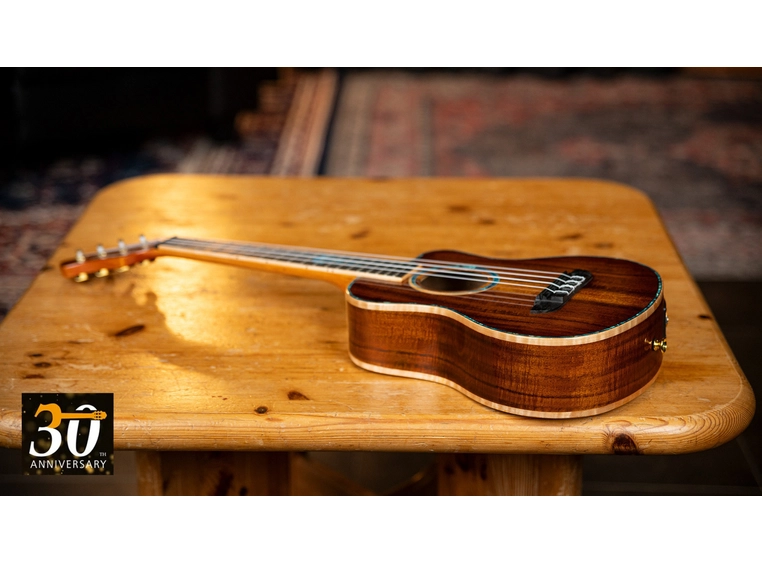 Ortega RUHZ30TH-JF Tenor ukulele m/mik bag, 30th Anniversary, Jellyfish 